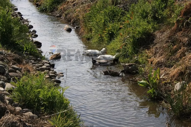 "refugio agrícola en el corazón del maule"