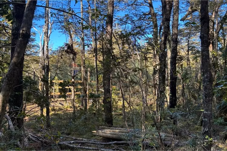 Venta parcela con refugio en el cerdúo, pucón - Imagen 6