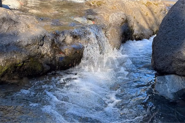 Venta parcela con refugio en el cerdúo, pucón - Imagen 19