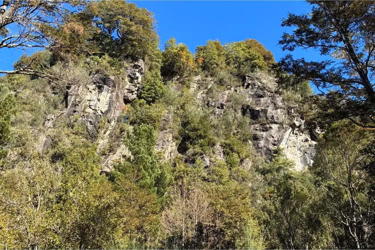 Venta parcela con refugio en el cerdúo, pucón - Imagen 4