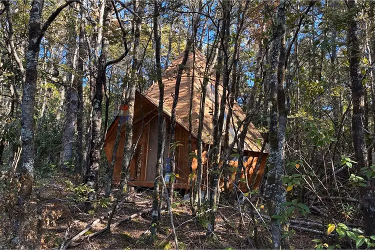 Venta parcela con refugio en el cerdúo, pucón - Imagen 16