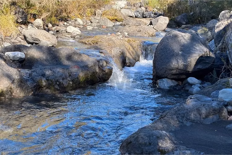 Venta parcela con refugio en el cerdúo, pucón - Imagen 18