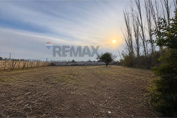 Parcela 2.500 m² en arriendo  batuco lampa