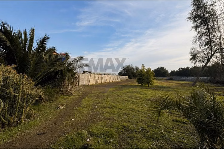Parcela 2.500 m² en arriendo  batuco lampa