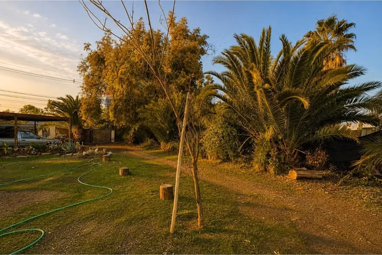 Parcela 2.500 m² en arriendo  batuco lampa
