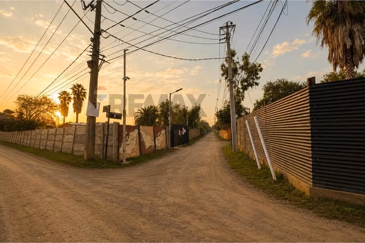 Parcela 2.500 m² en arriendo  batuco lampa