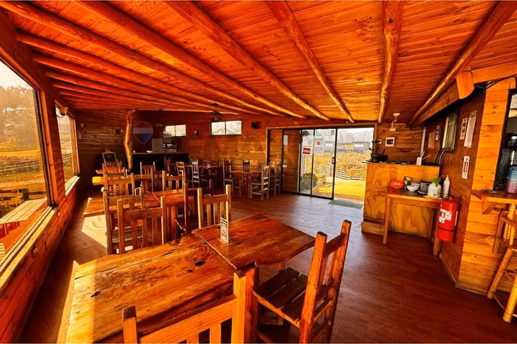 Oportunidad turística única en pichilemu