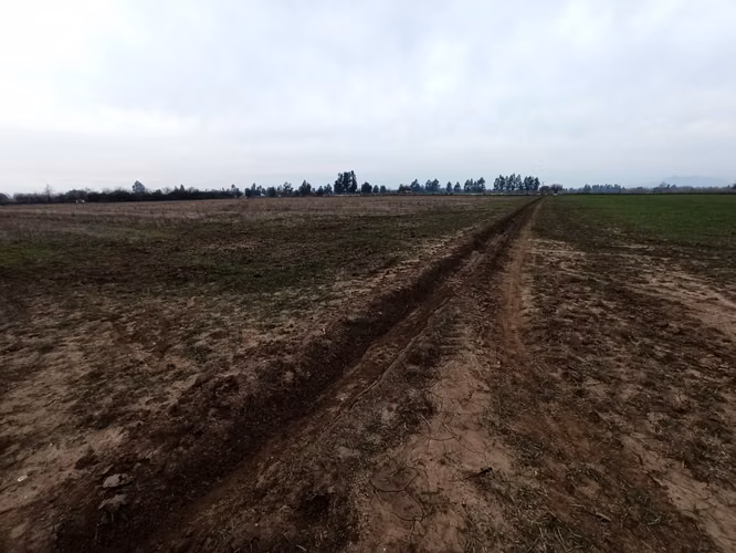 CAMPO, AGRÍCOLA EN VENTA, 16,4 HA, SAN CLEMENTE