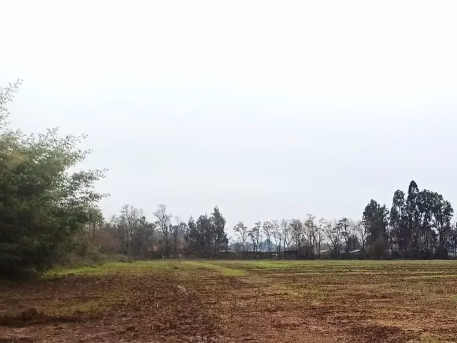 PROPIEDAD AGRÍCOLA EN VENTA, 16,4 HA, SAN CLEMENTE