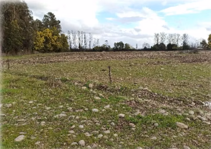 CAMPO, AGRÍCOLA EN VENTA DE 27,73 HA, YERBAS BUENAS