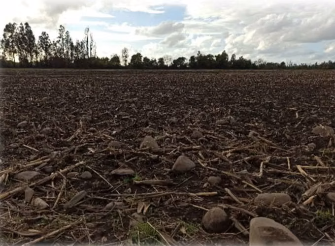 TERRENO AGRÍCOLA EN VENTA, PROPIEDAD DE 27,73 HA