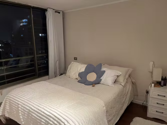 VENTA  HERMOSO DEPARTAMENTO EN PROVIDENCIA - Imagen 11