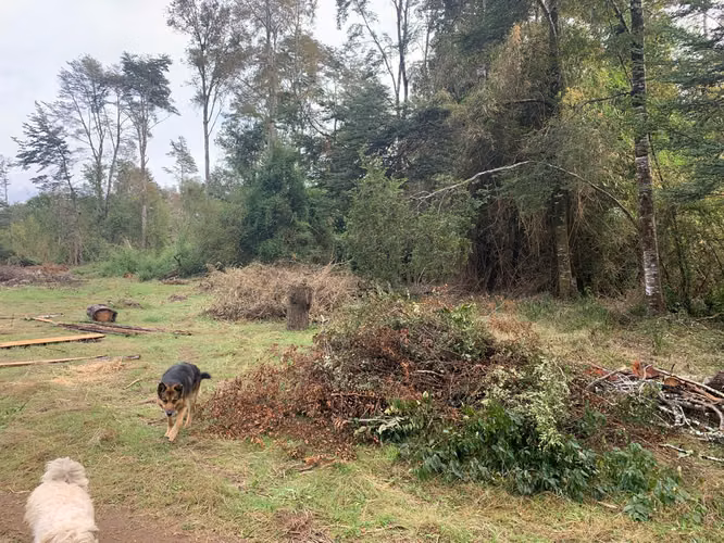 PREDIO NATURAL CON ACCESO AL RIO QUINQUE