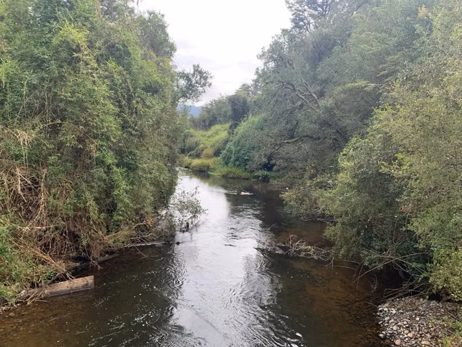 PREDIO NATURAL CON ACCESO AL RIO QUINQUE