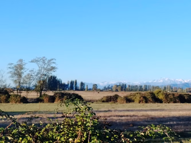 CAMPO 44 HA AGUA BUEN ACCESO IDEAL AVELLANO RIO CLARO VII R