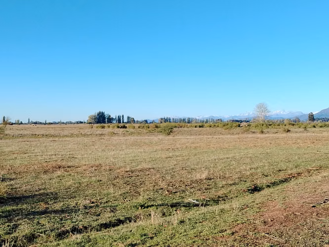 CAMPO 44 HA AGUA BUEN ACCESO IDEAL AVELLANO RIO CLARO VII R