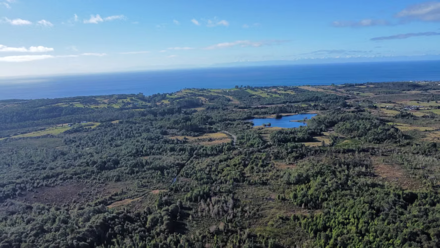 OPORTUNIDAD CAMPO 30HA CON RIO Y BOSQUE NATIVO - Imagen 9