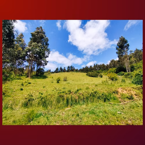 Terreno de 8,5 Hectáreas en Carahue | Rol Propio | Excelente Inversión