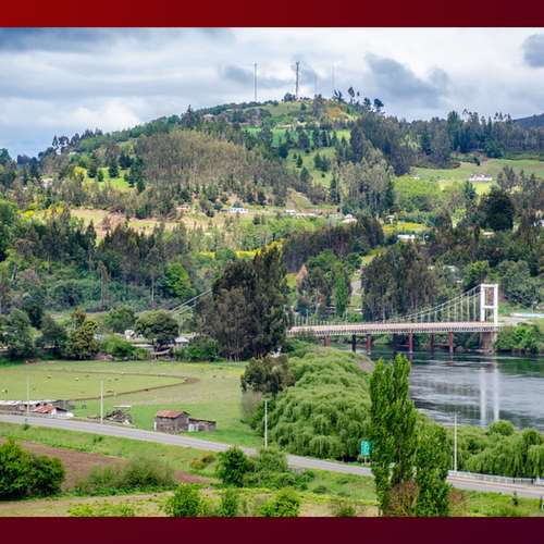 Terreno de 8,5 Hectáreas en Carahue | Rol Propio | Excelente Inversión