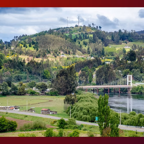 Terreno de 8,5 Hectáreas en Carahue | Rol Propio | Excelente Inversión