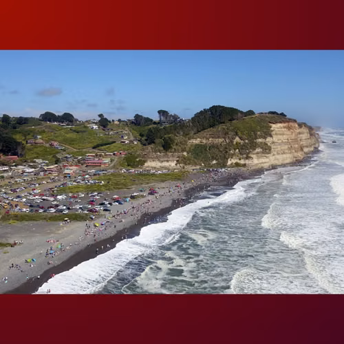 Terreno de 8,5 Hectáreas en Carahue | Rol Propio | Excelente Inversión