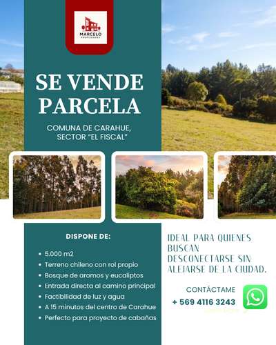 Parcela 5.000 m² Rol Propio | El Fiscal, Carahue | $19.000.000