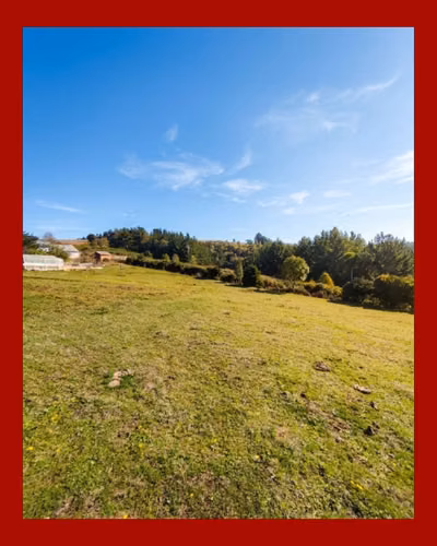 Parcela 5.000 m² Rol Propio | El Fiscal, Carahue | $19.000.000