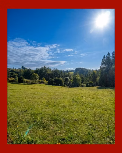 Parcela 5.000 m² Rol Propio | El Fiscal, Carahue | $19.000.000