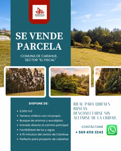 Parcela 5.000 m² Rol Propio | El Fiscal, Carahue | $19.000.000