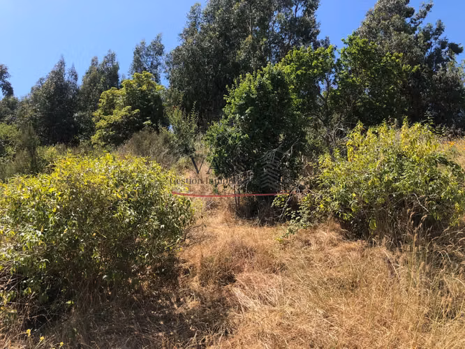 VASS Vende Terreno De 300 M2 A Pasos Estación Metro Limache
