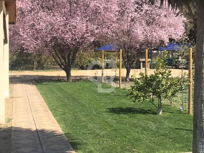 Casa en Parcela 5.073 m² | Condominio Algarrobo Batuco - Imagen 12