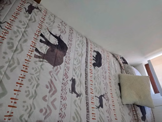 Cama Nido