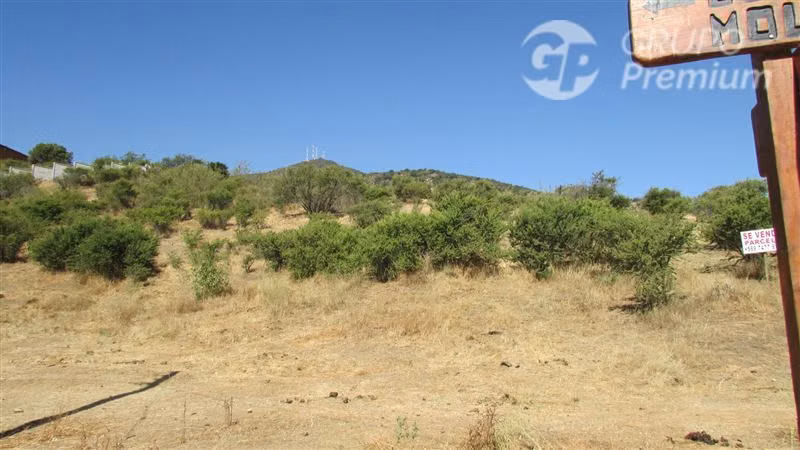 Excelente Parcela en venta en Olmué