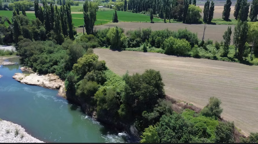 PRODUCTIVO CAMPO AGRICOLA