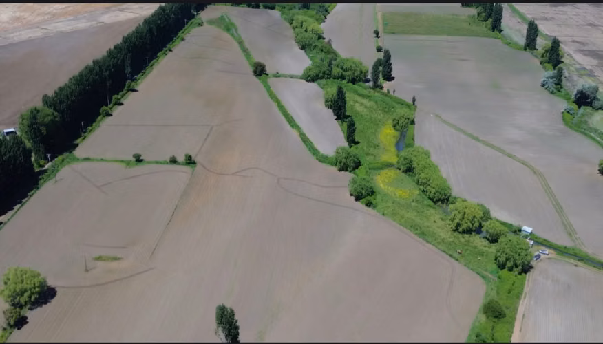 PRODUCTIVO CAMPO AGRICOLA
