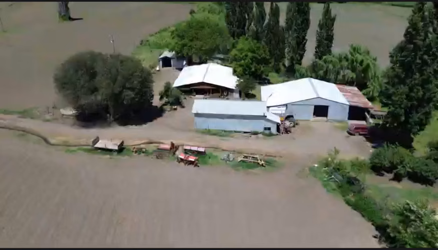 PRODUCTIVO CAMPO AGRICOLA