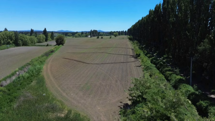 PRODUCTIVO CAMPO AGRICOLA