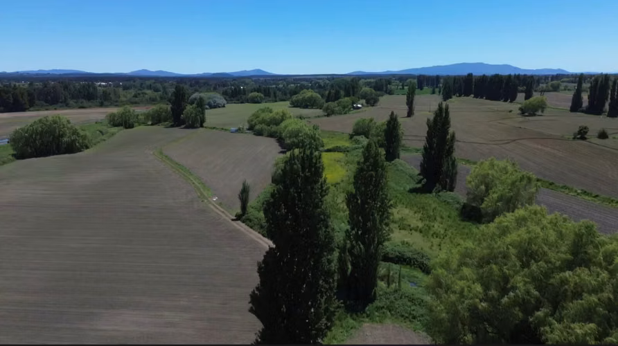 PRODUCTIVO CAMPO AGRICOLA