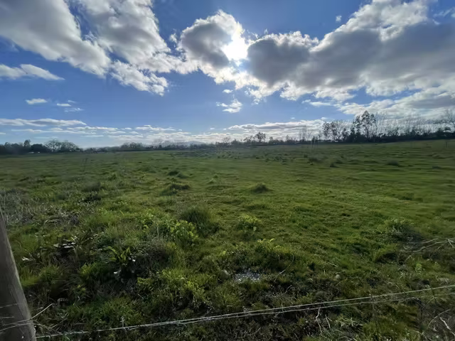 VENDE  TERRENO DE 2 HAS, SAN RAFAEL