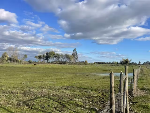 VENDE  TERRENO DE 2 HAS, SAN RAFAEL