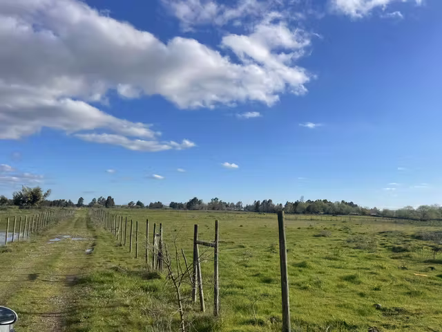 VENDE  TERRENO DE 2 HAS, SAN RAFAEL