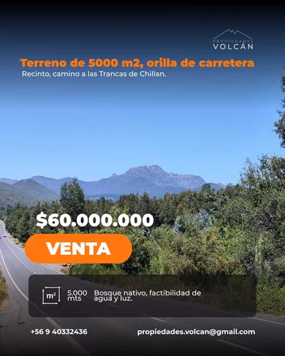 Terreno para inversion (179583) - Imagen 1
