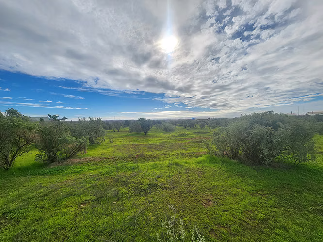 Se vende terreno Sector “Tongoy”, Coquimbo. - Imagen 8