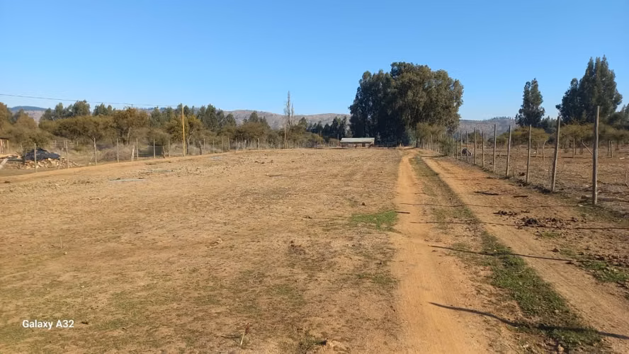 VIVE EN ARMONÍA CON LA NATURALEZA EN PUMANQUE