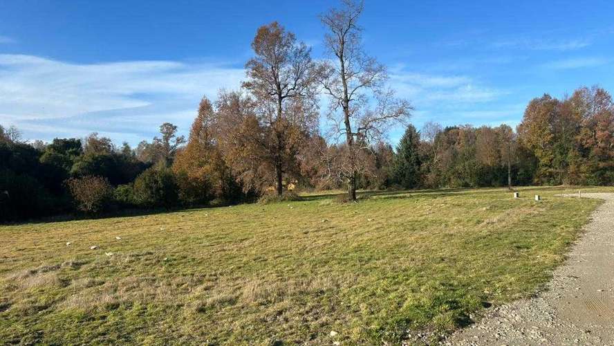 Terreno Ideal para Inversión y Descanso (179588) - Imagen 11