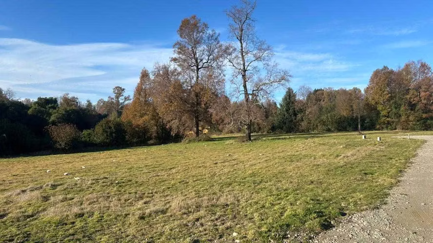 Parcelas en venta (179588) - Imagen 11