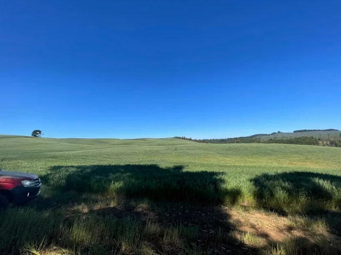 Excelente oportunidad de inversión! Campo de 170 hectáreas a 15 minutos de Traiguen