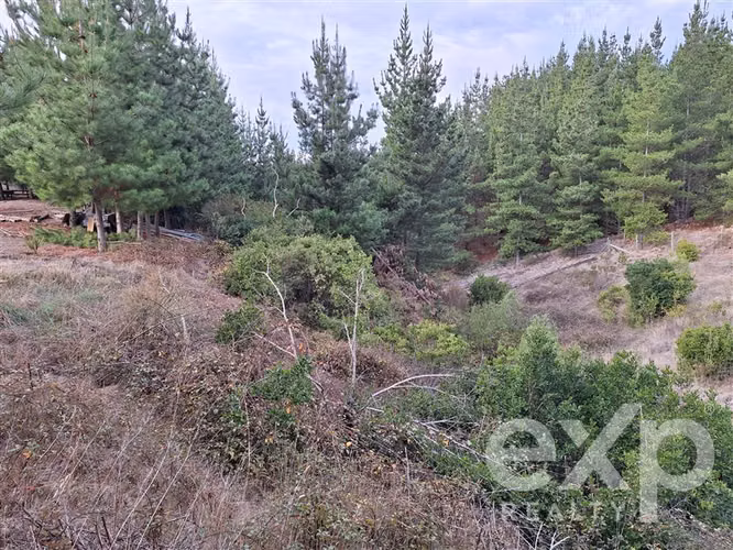 Vende Sitio con casa 135m2 en Pichilemu - Imagen 16