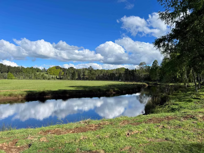 Parcelas con Río y Laguna a 25min Villarrica (179606) - Imagen 14