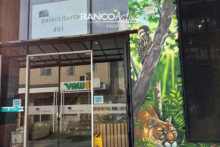 Gran Oficina en Arriendo Paseo Libertad Valdivia